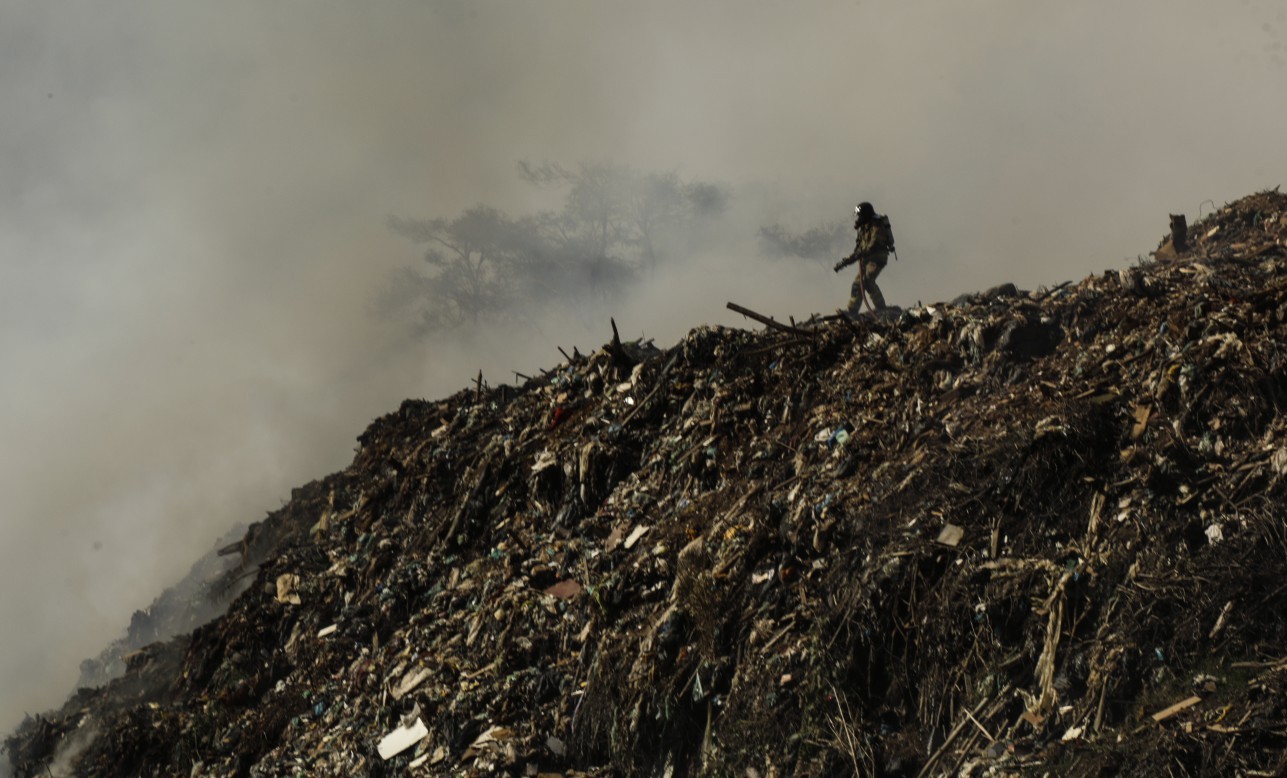 Lixões podem gerar a próxima pandemia, alertam epidemiologistas; entenda