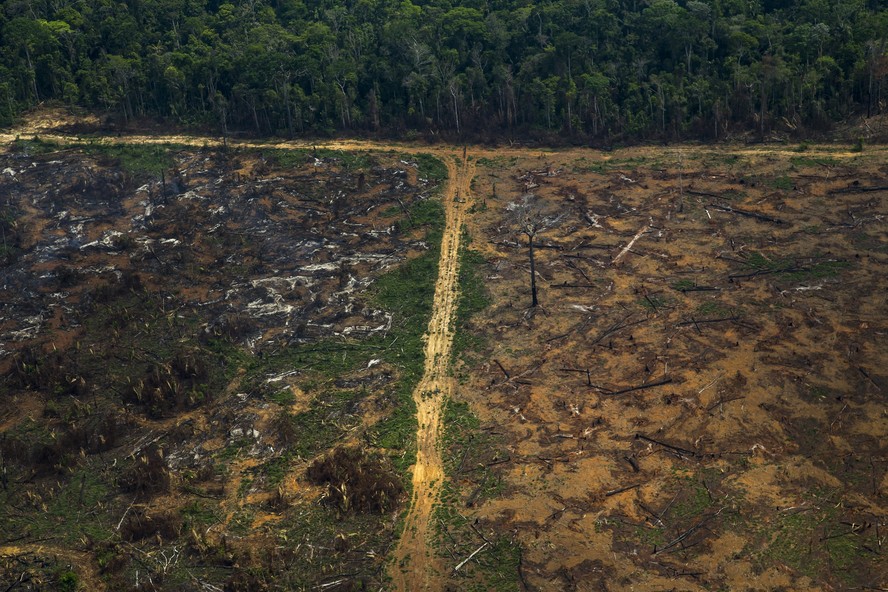 Área desmatada e queimada por produtores rurais em Lábrea (AM)