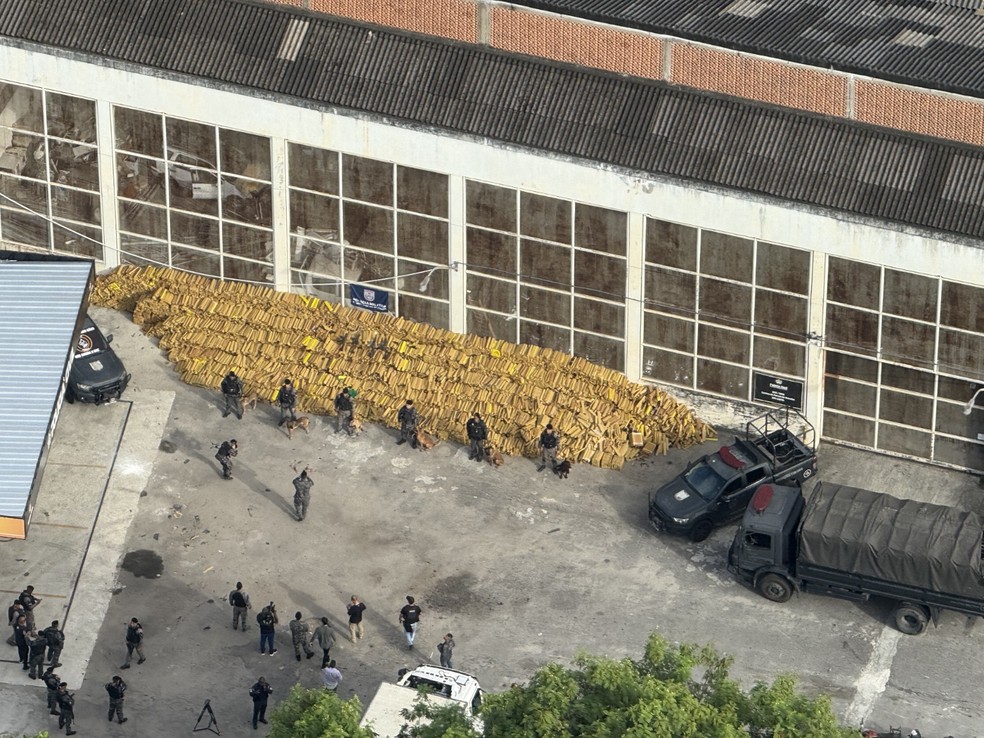 Mais de 250 policiais militares participaram da ação — Foto: Genilson Araujo