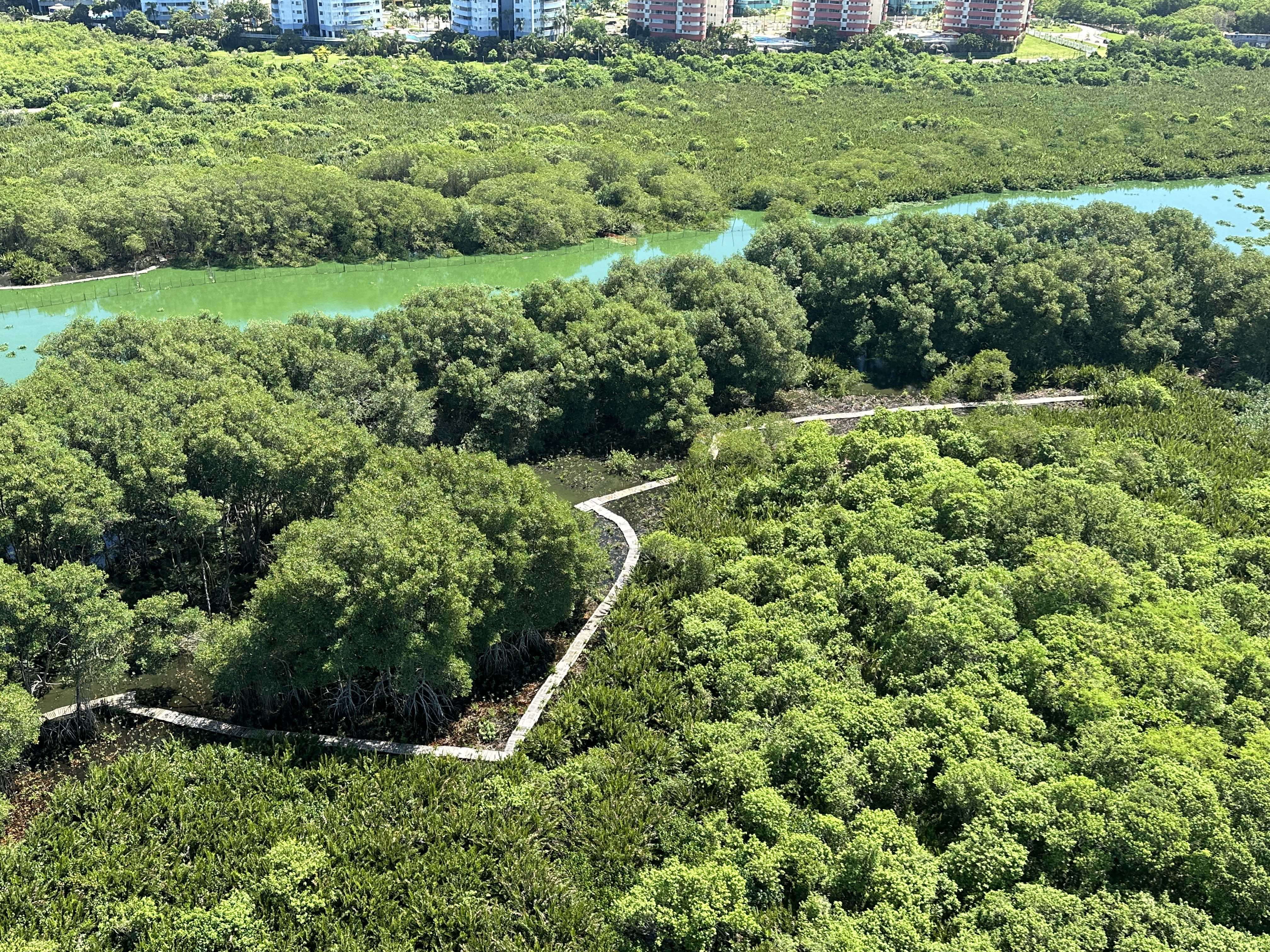 Mangue, restinga e turismo ecológico: entenda como será novo parque na Lagoa do Camorim, aprovado pela Câmara Municipal; vídeo