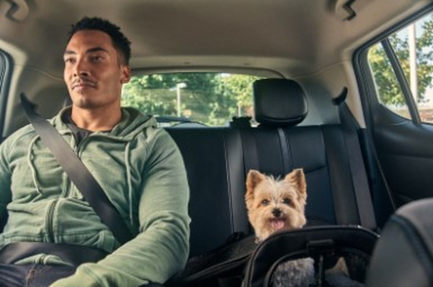 What is uber pet clearance