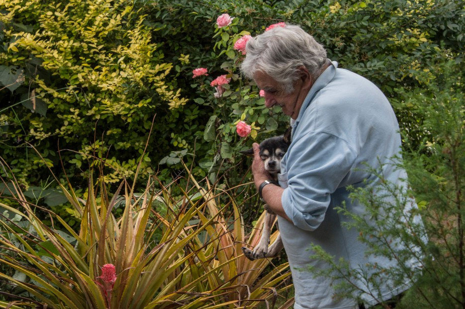 Mujica posa com Manoela, sua cadela de 19 anos, durante entrevista em sua casa em Montevidéu, em 2016 — Foto: Pablo PORCIUNCULA / AFP