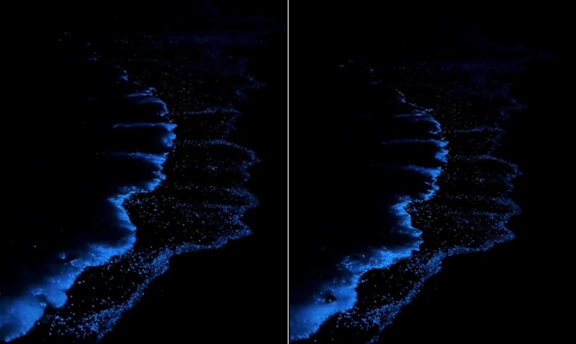 Mar que brilha no escuro? Entenda o fenômeno que faz o oceano parecer um ‘céu estrelado’ à noite