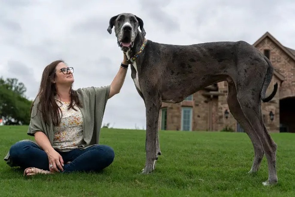 Zeus, o cão mais alto do mundo segundo o Guinness e sua tutora — Foto: Reprodução