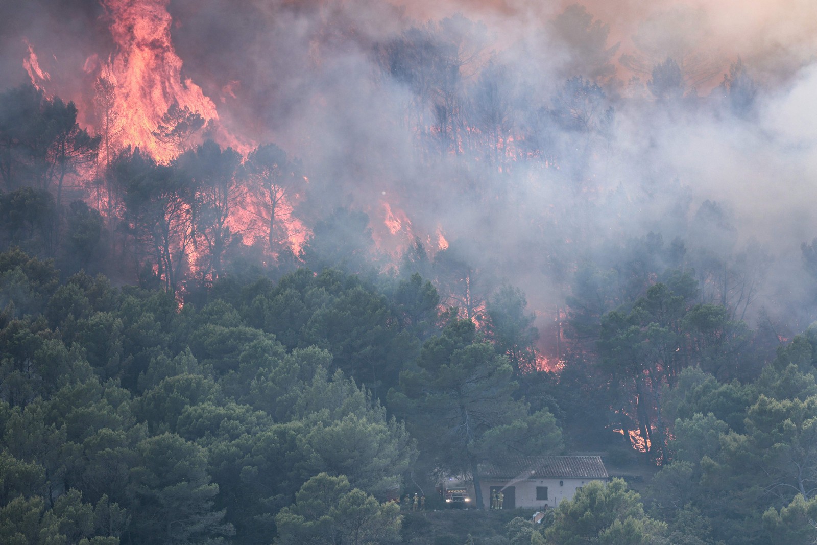 Floresta próxima à área residencial no sudoeste da França sofre incêndio em meio à onda de calor na Europa — Foto: Thibaud Moritz/AFP