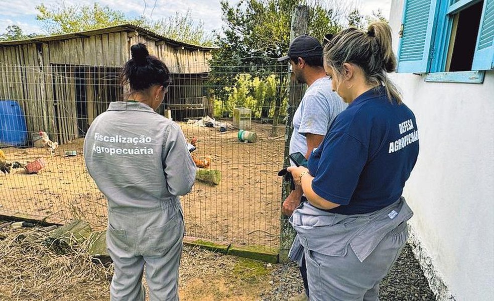 Agentes de fiscalização agropecuária do Rio Grande do Sul visitam criação de subsistência perto da granja onde foi identificado o foco de gripe aviária — Foto: Divulgação/Seapi