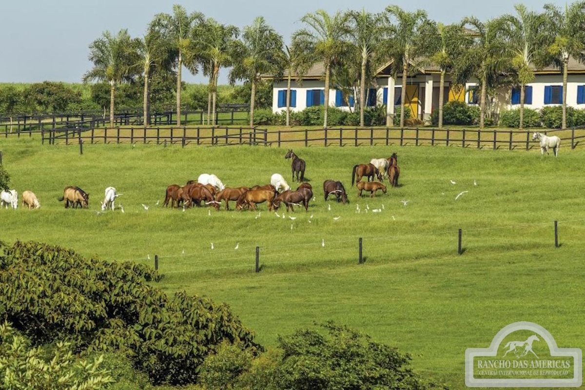 Rancho de Sorocaba: conheça haras do sertanejo que abriga cavalos da