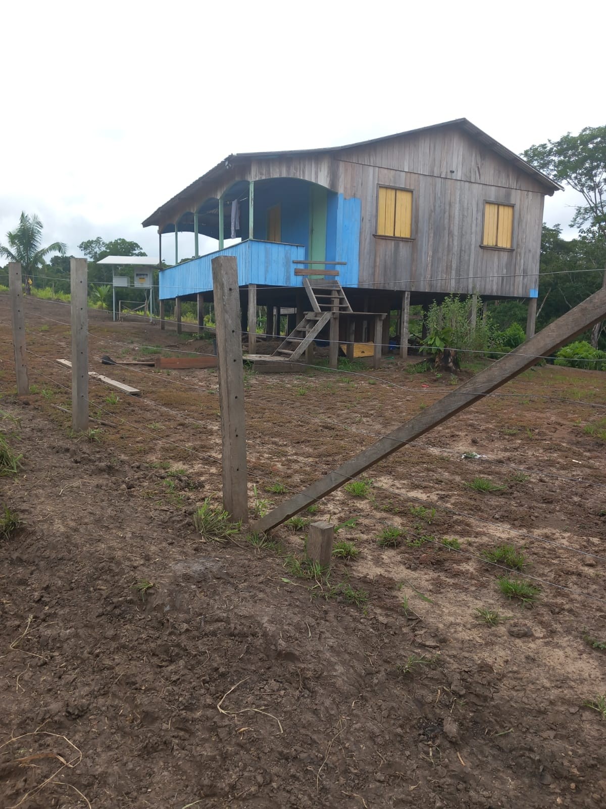 Estrutura com internet e cachorros próxima ao pasto — Foto: Siã Huni Kuin / Askarj