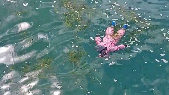 Governo da Tunísia encontra corpo de bebê afogado após naufrágio de barco com imigrantes
