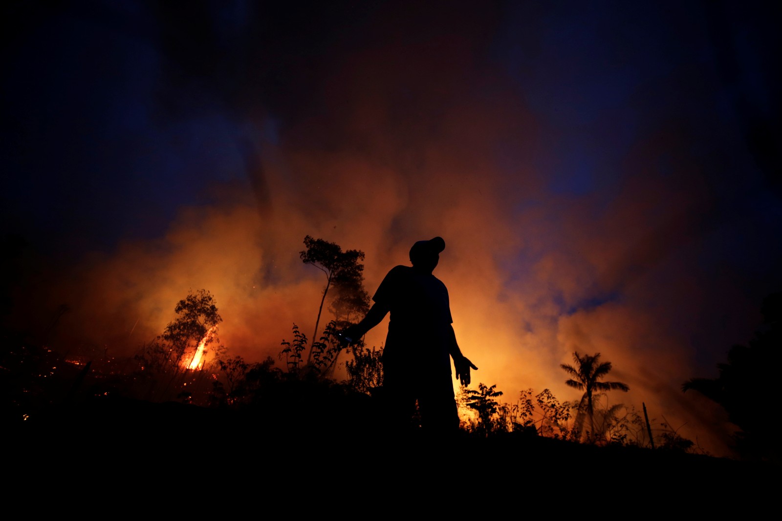 Área queimada no Brasil até novembro quase dobra em relação a 2023 e é ...