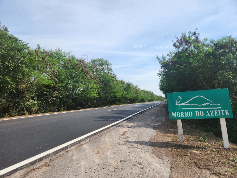 Invas&atilde;o da leucena na faixa de dom&iacute;nio da BR-262, no Mato Grosso do Sul &mdash; Foto: Reprodu&ccedil;&atilde;o Ibama