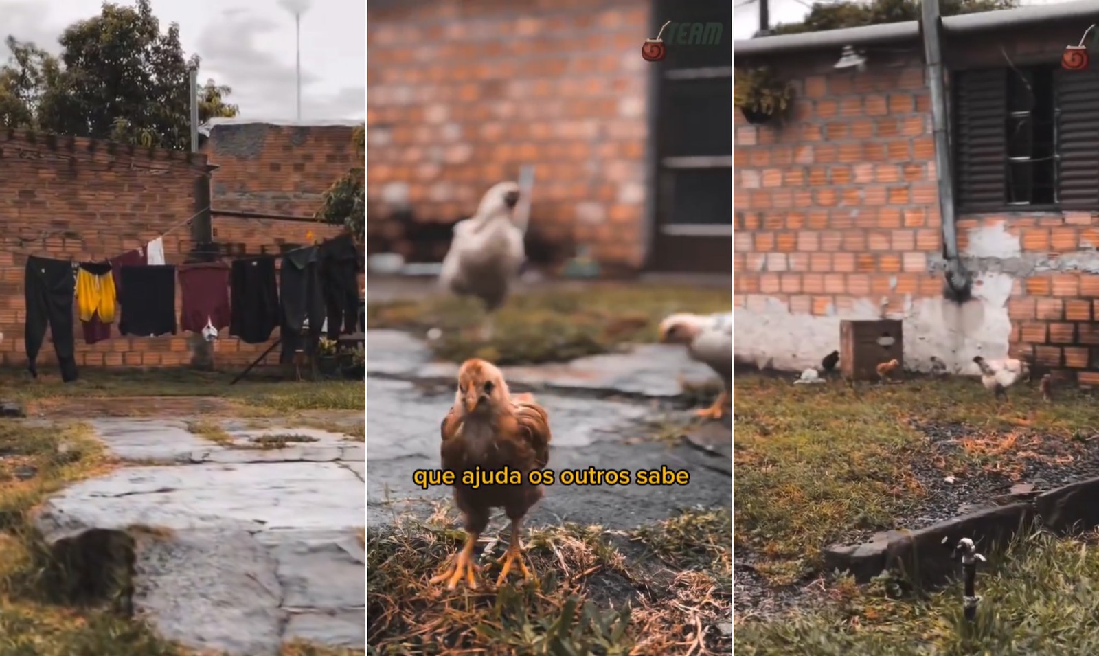 Área externa da casa de Matteus, do 'BBB' 24. O brother fala com carinho sobre a residência em que vive com a mãe e a avó — Foto: Reprodução/Redes sociais
