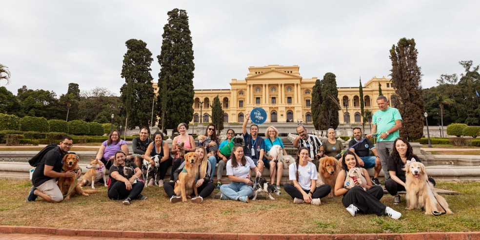 Itinerários pet friendly variados oferecem experiências de lazer junto aos animais de estimação em locais públicos e culturais — Foto: Divulgação/SPTuris