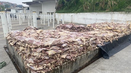 Moscas e baratas: Polícia Civil de SP apreende 4,6 mil kg de carne podre