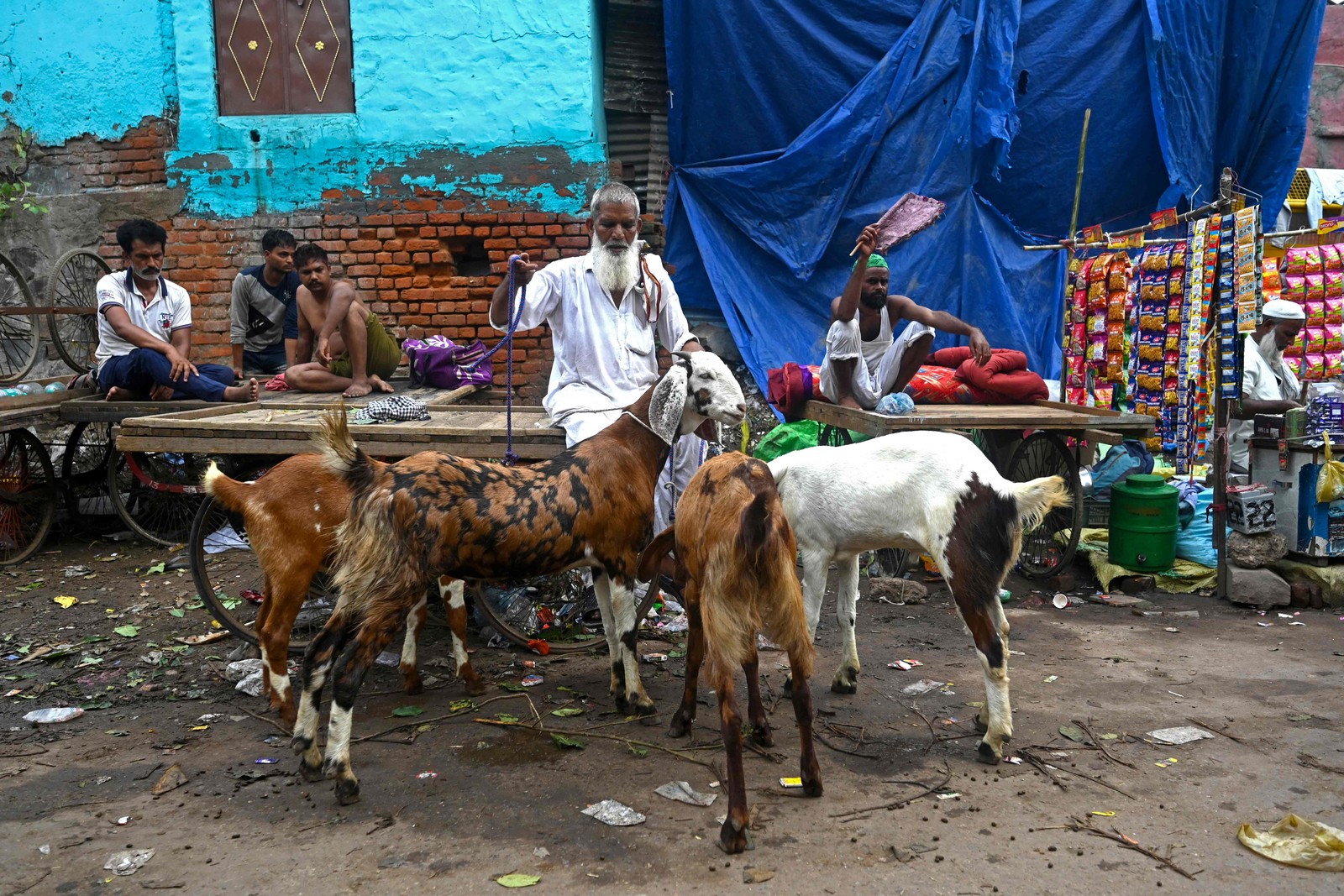 Vendedor de gado espera clientes na beira da estrada para vender suas cabras antes do festival muçulmano de Eid al-Adha, nos bairros antigos de Nova Délhi, Índia  — Foto: MONEY SHARMA / AFP