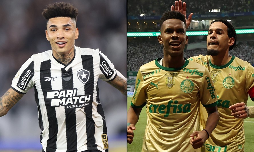 Botafogo e Palmeiras brigam pelo título nacional
