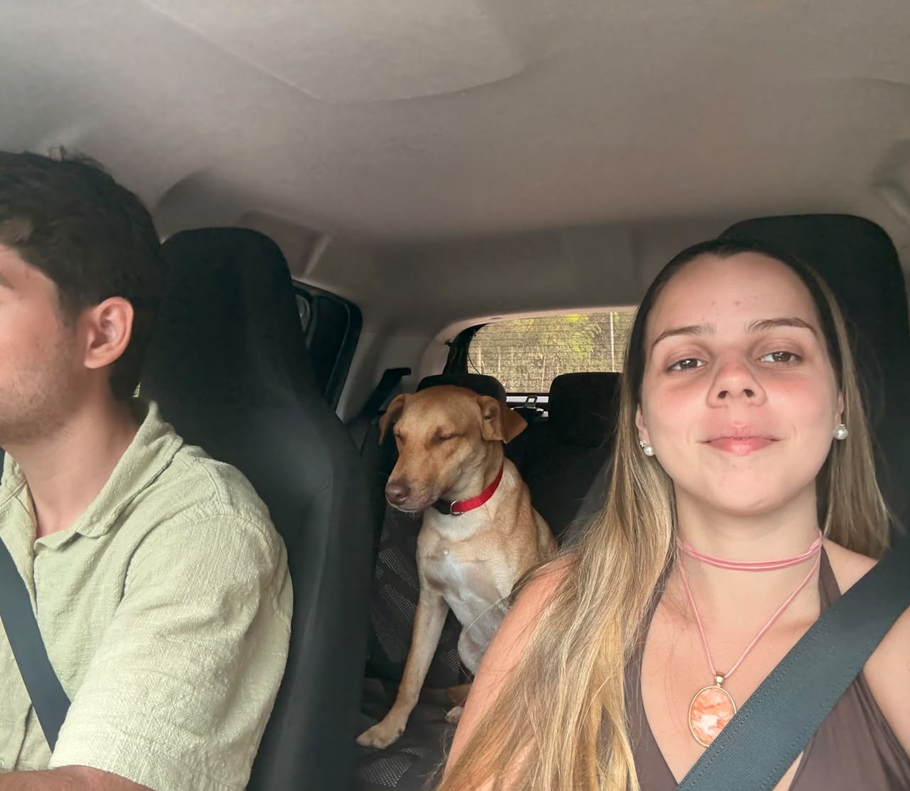 Casal de Niterói vai passar lua de mel na Bahia e volta com cão ...