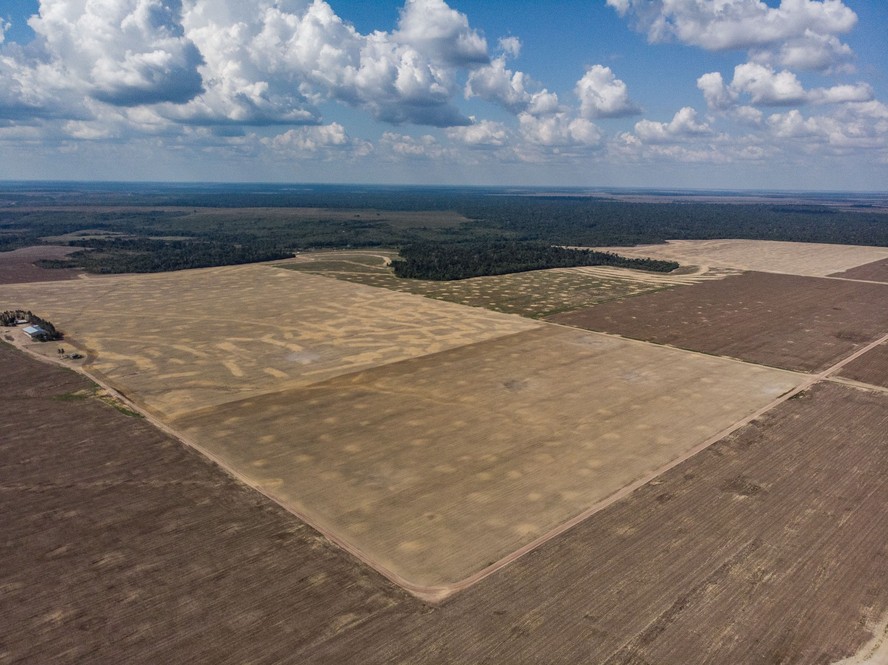 &Aacute;rea desmatada para plantio de soja na Amaz&ocirc;nia