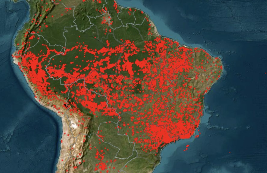 São Paulo registrou mais focos de incêndio do que a Amazônia; veja vídeo