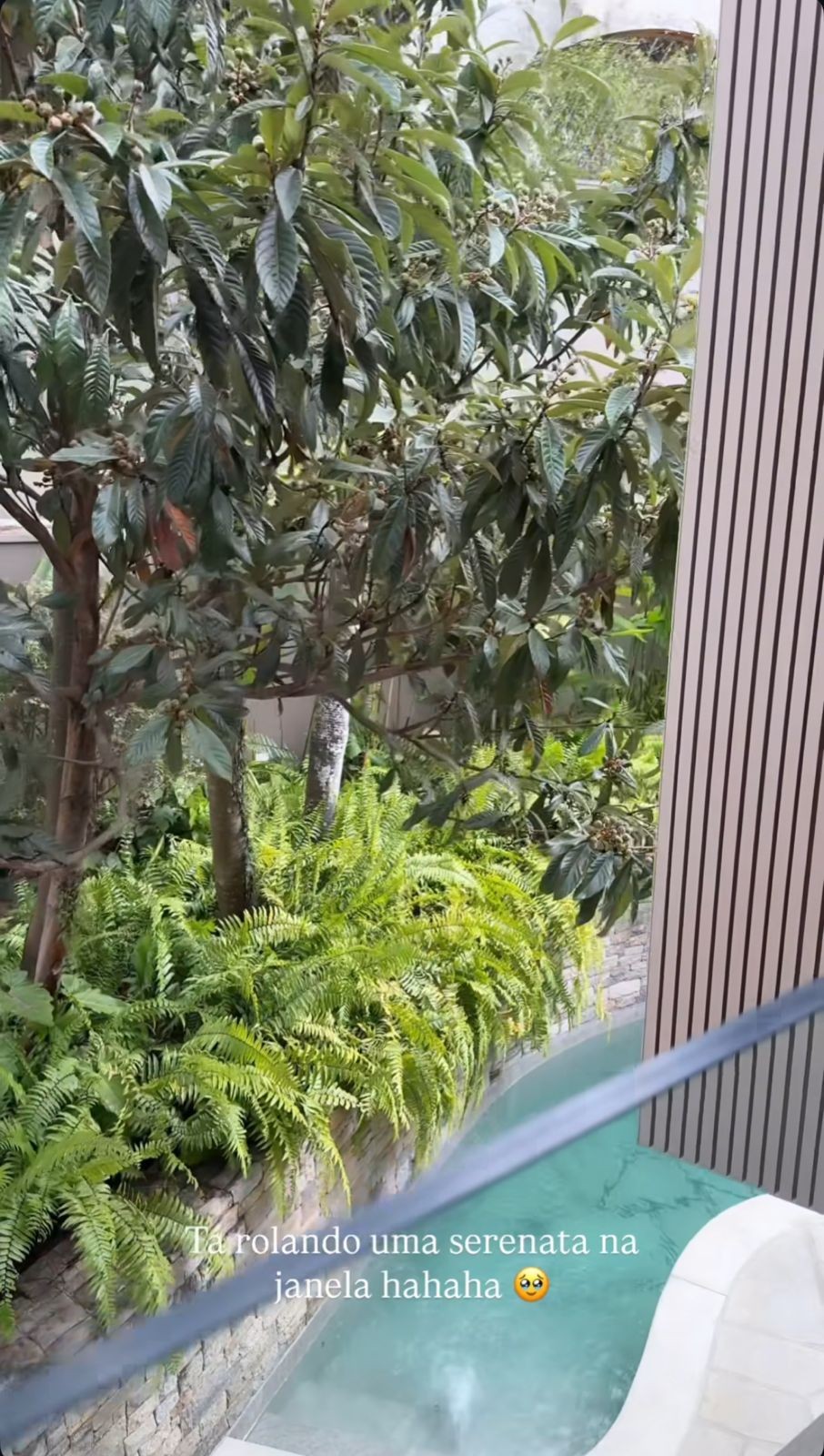 piscina da da casa de rafa kalimann e nattan - foto: reprodução/instagram