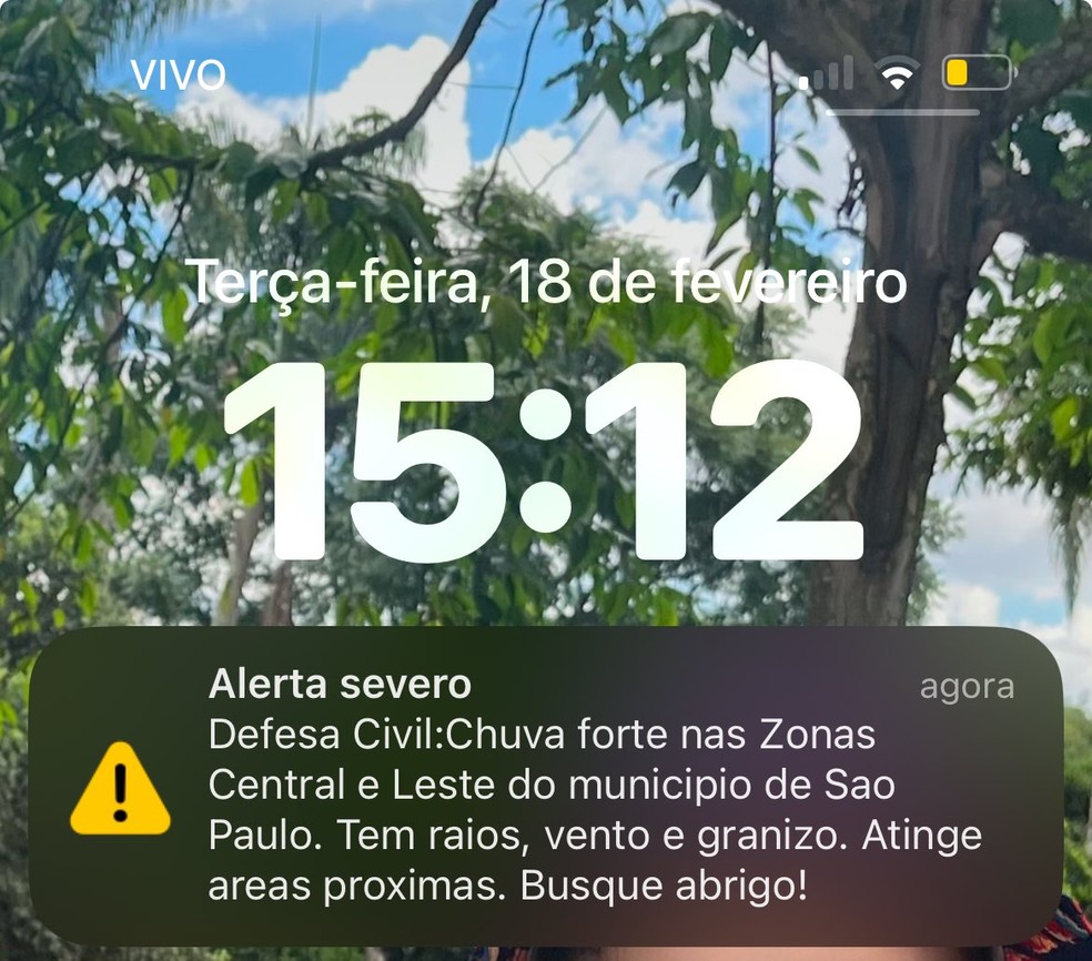 A cell phone displays a severe warning from Civil Defense about a storm in São Paulo — Photo: X/reproduction
