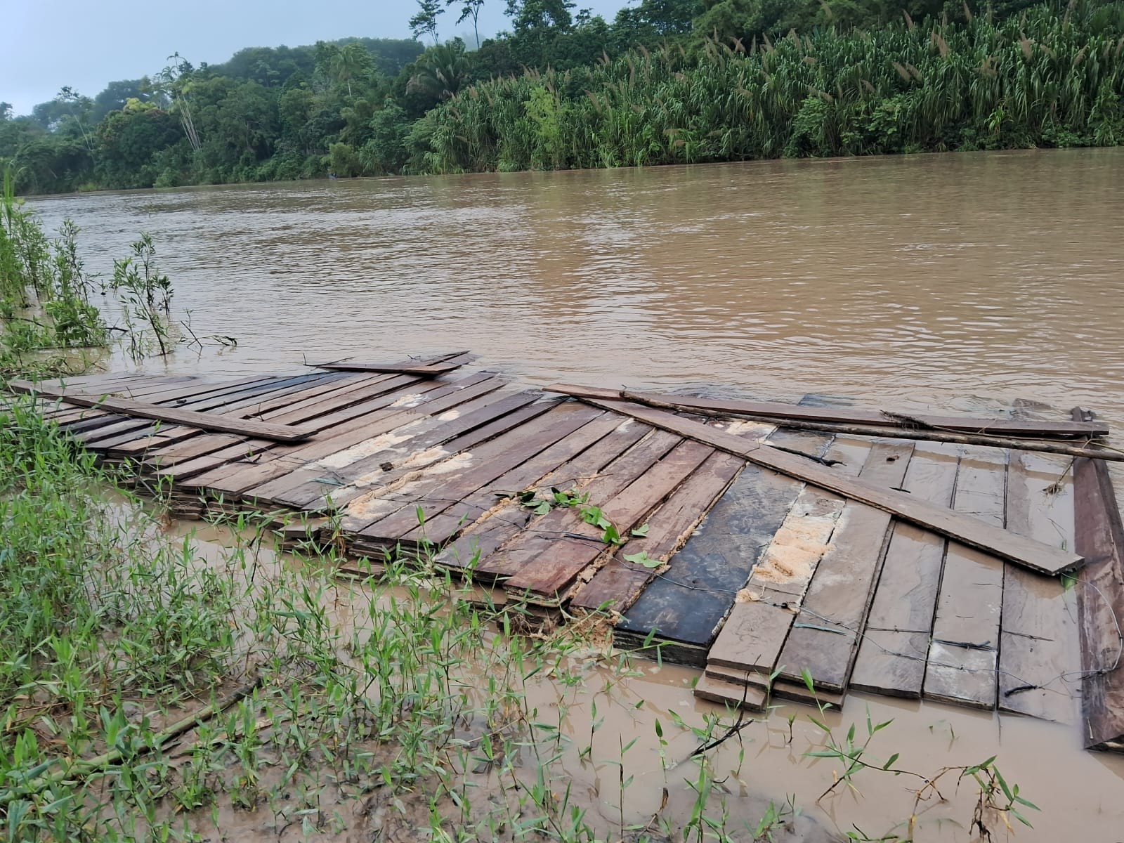 Madeira que seria transportada para comercialização — Foto: Siã Huni Kuin / Askarj