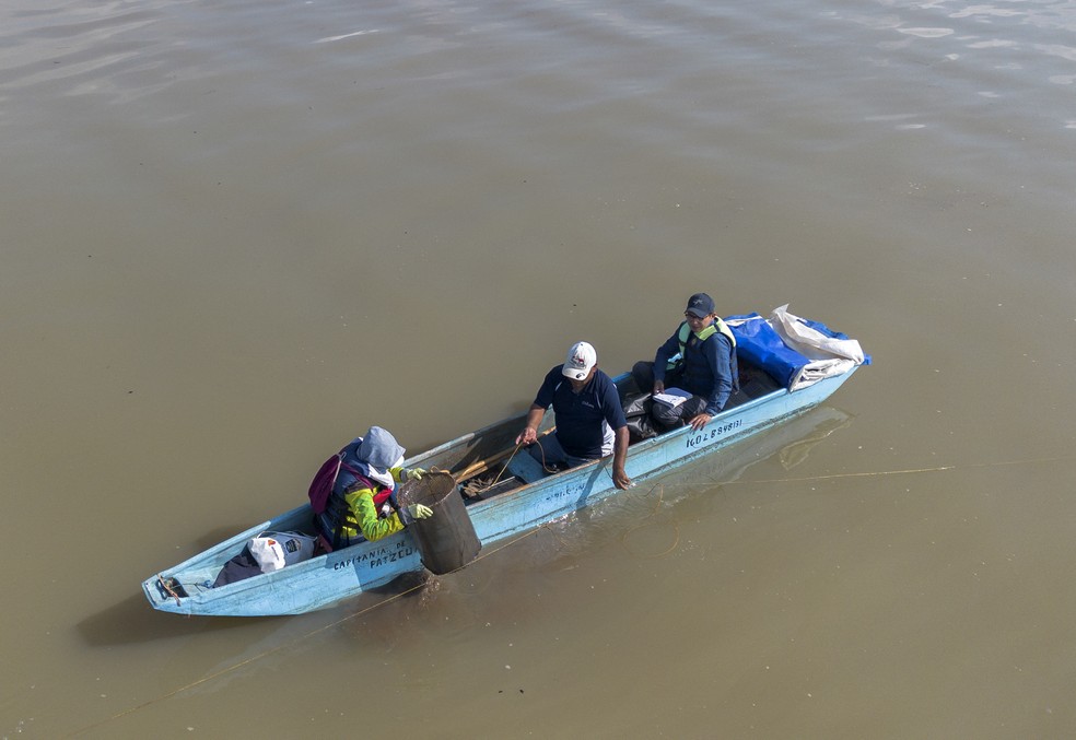 A pescadora Guadalupe Correa e pesquisadores da Universidade Michoacán de San Nicolás de Hidalgo (UMSNH) monitoram o Lago Patzcuaro — Foto: Enrique Castro / AFP
