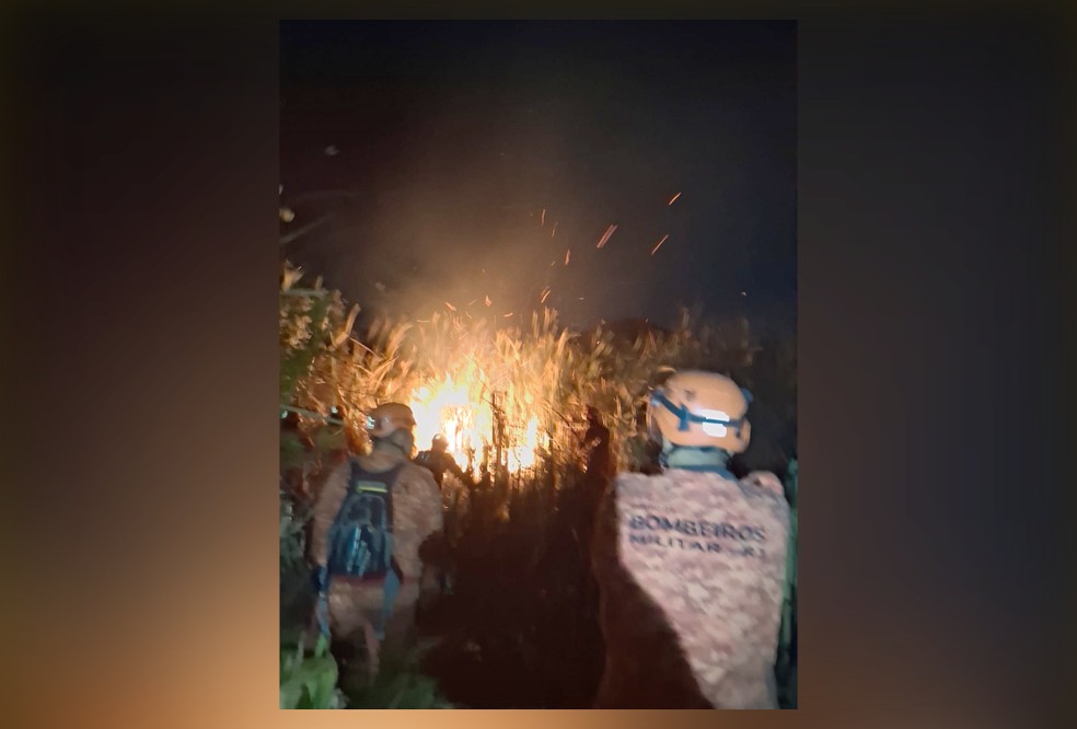 Mais de 30 bombeiros militares de cinco unidades atuaram no combate às chamas em área de mata em Vargem Grande — Foto: Divulgação/CBMERJ