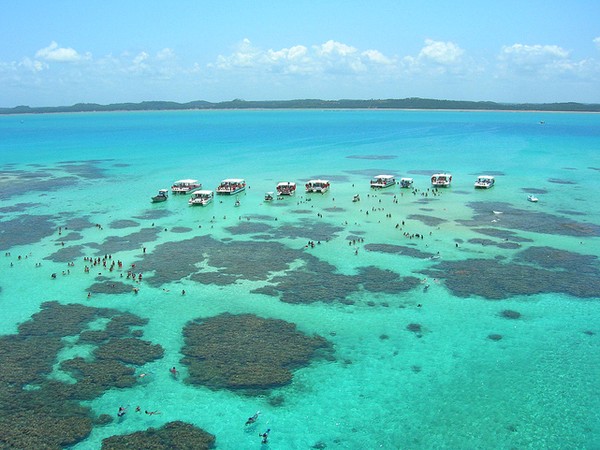 Confira sete regiões de recifes de corais que encantam no Brasil