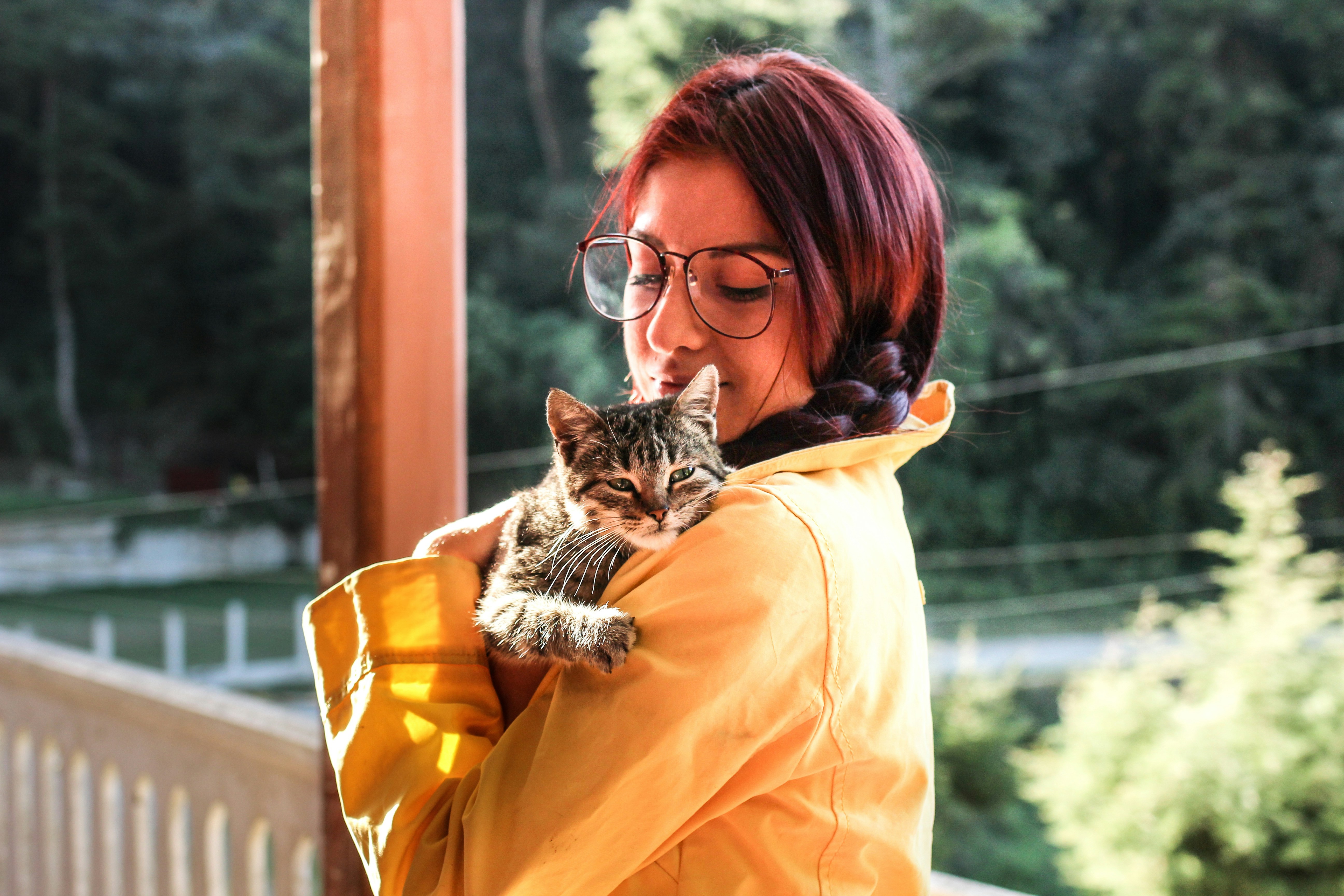 Gatos: por que eles se aproximam de pessoas com alguma doença ou sensação de mal-estar?