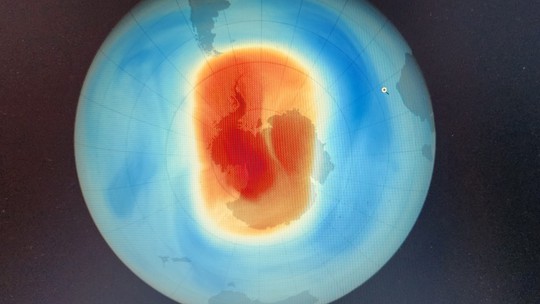 Buraco no ozônio afeta pinguins, baleias e focas na Antártica