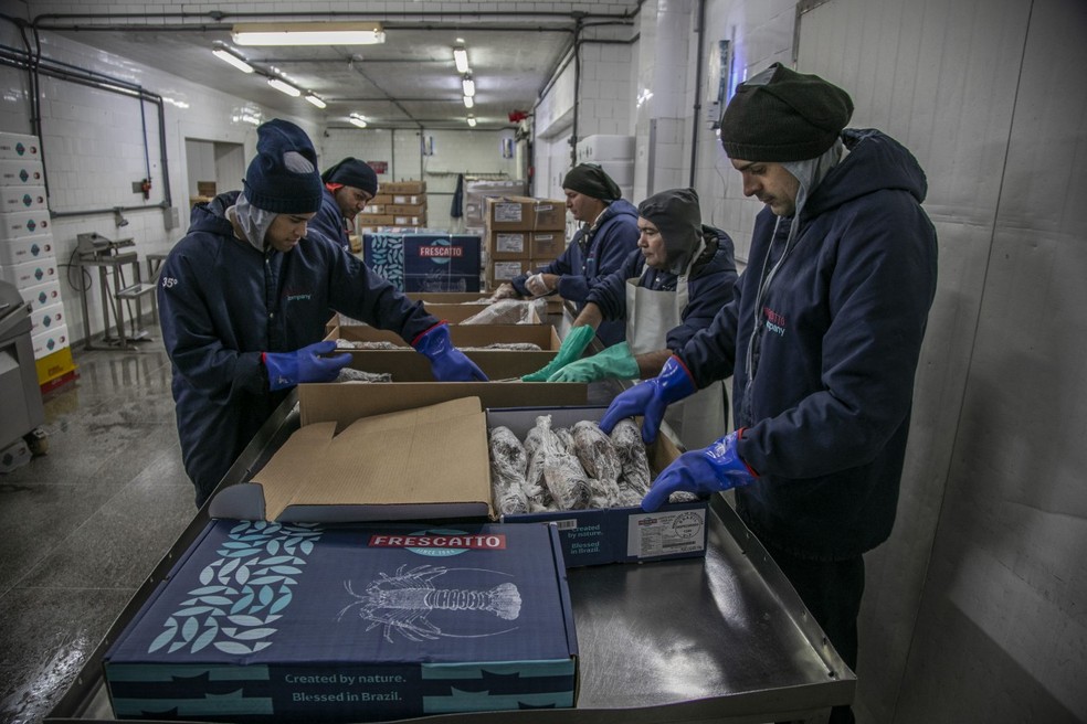 Funcionários da fábrica da Frescatto processam o pescado: empresa enviou peixe de avião para os EUA — Foto: Guito Moreto
