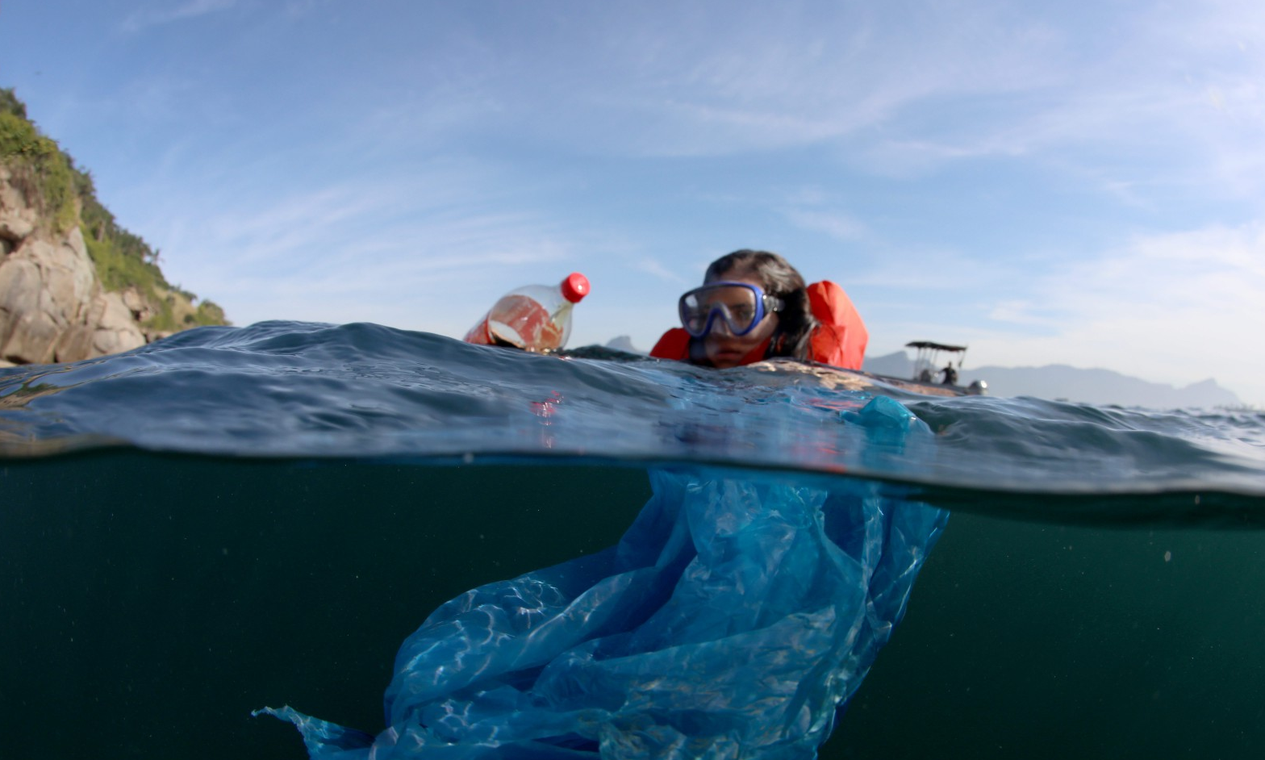 Nas Ilhas Cagarras, o lixo invisível com plástico ameaça a vida