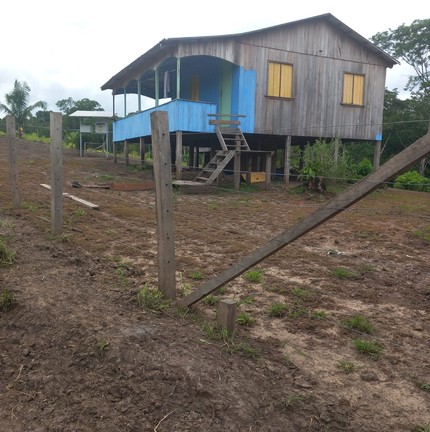 Estrutura com internet e cachorros próxima ao pasto — Foto: Siã Huni Kuin / Askarj