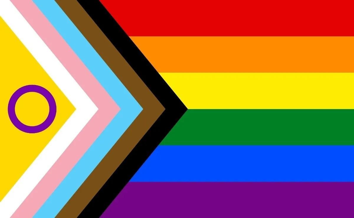 Novo arco-íris: Alguns grupos sugerem a adoção de um modelo mais inclusivo de bandeira — Foto: Reprodução