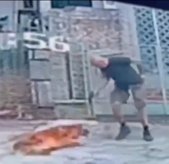 Cachorro é morto a tiros após se aproximar de homem que passeava com outro cão na Tijuca - QTU Questões do Universo