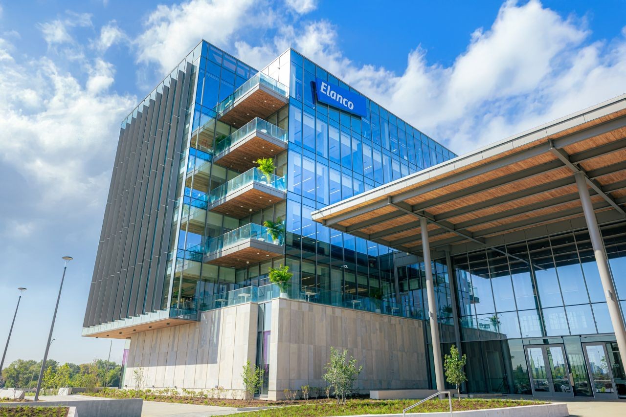 Elanco amplia projeções para 2026 após crescimento de 10% - QTU Questões do Universo