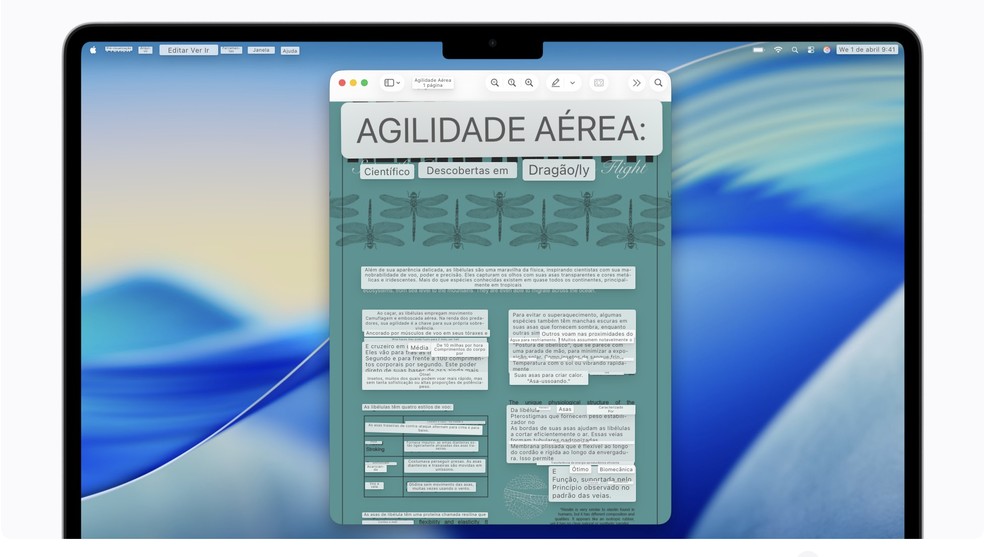 Apple anuncia novos  recursos de acessibilidade com inteligência artificial — Foto: Divulgação