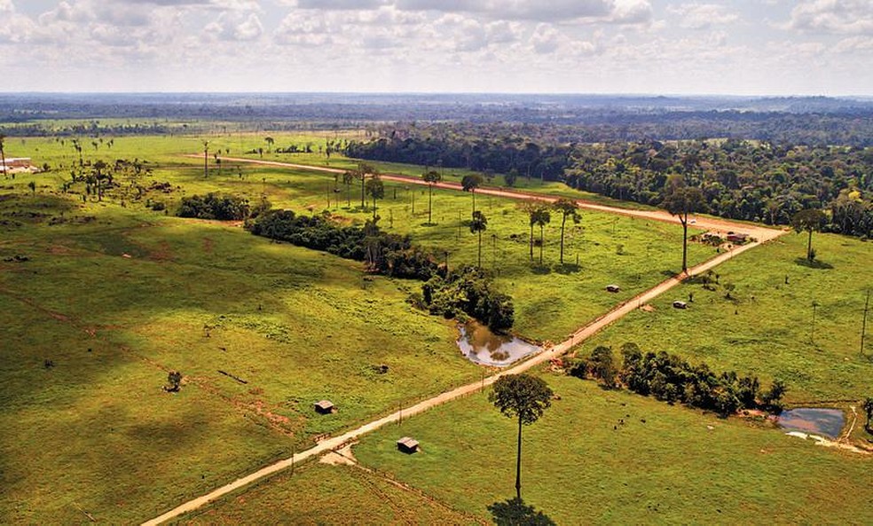 Área próxima ao início da BR-319 no Amazonas: licenciamento de obras para pavimentação é alvo de questionamento — Foto: Brenno Carvalho/2-6-2021
