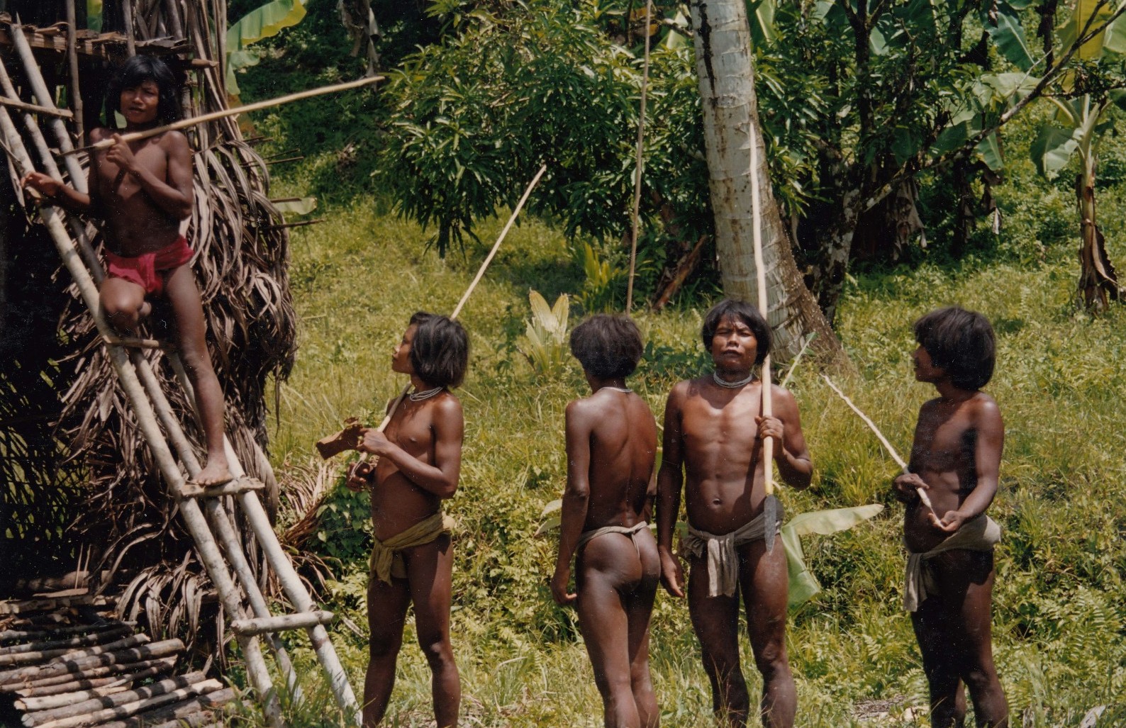 Povo isolado Shompen na Indonésia — Foto: Ketan Patel/Survival