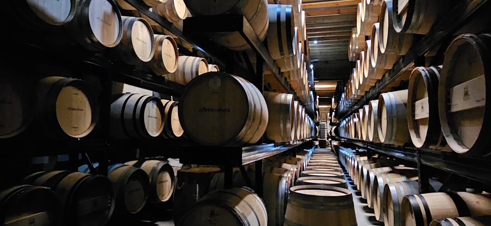 A sala de barricas da Alves de Sousa — Foto: Cláudia Meneses / Agência O Globo