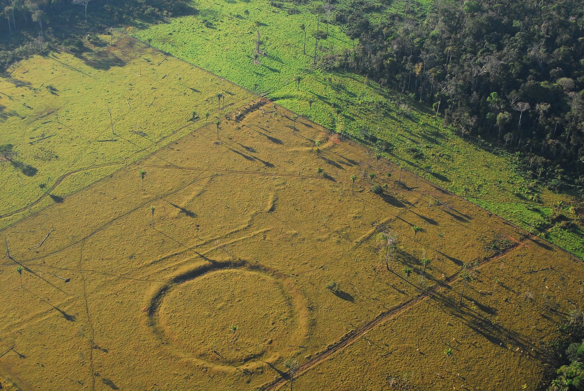Como a tecnologia está ajudando a arqueologia a revelar povos maiores e mais sofisticados na Amazônia