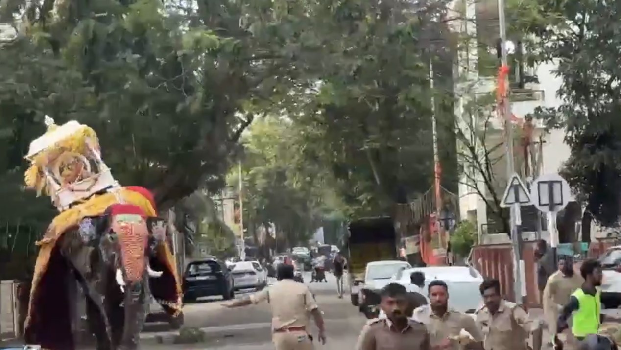 Elefante que carregava santuário de ouro e prata em ritual na Índia se revolta em procissão; vídeo
