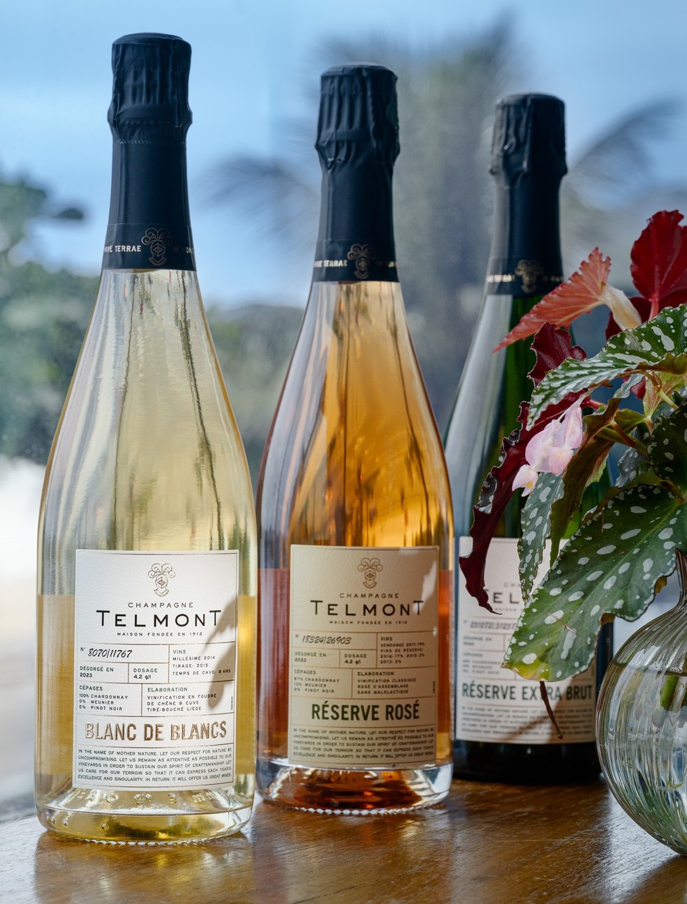 Os três champanhes Telmont no Brasil — Foto: Divulgação Telmont