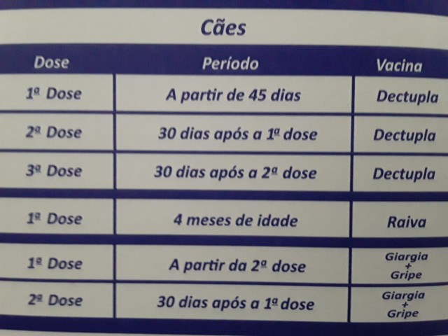 Quantos Dias A Vacina Do Cio Faz Efeito