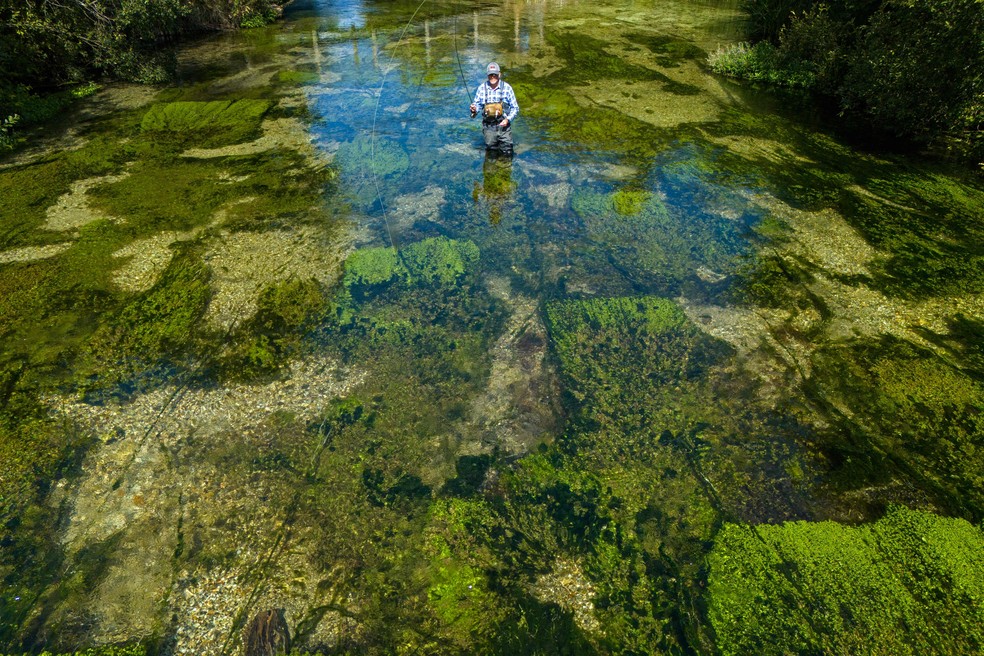'Tesouros' dos rios ingleses, trutas e salmões estão ameaçados por mudanças climáticas — Foto: Justin Tallis/AFP