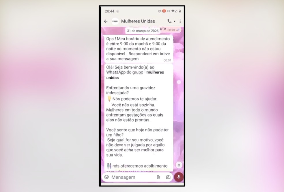 O grupo de WhatsApp que, segundo a investiga&ccedil;&atilde;o, era usado pelas suspeitas &mdash; Foto: Reprodu&ccedil;&atilde;o