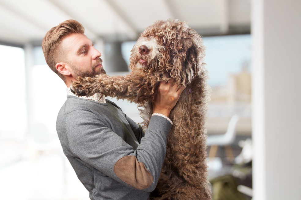 Instituição de caridade está convocando pessoas com barbas, tatuagens e piercings para ajudar a treinar a próxima geração de cães-guia — Foto: Freepik