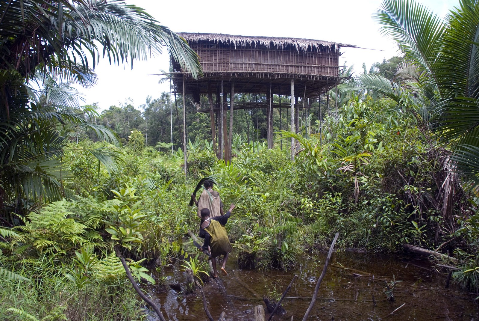 Povo isolado na Indonésia — Foto: Ketan Patel/Survival