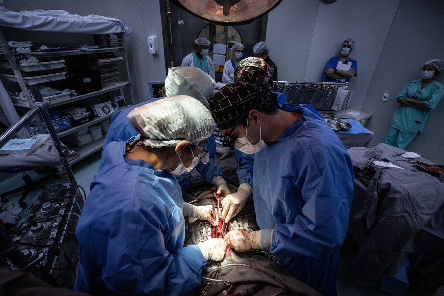 Brasil teve recorde de transplantes no 1º trimestre; veja novo levantamento  do Ministério da Saúde